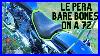 Le-Pera-Bare-Bones-Seat-Honest-Review-Sportster-72-01-sub
