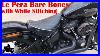 Lepera-Bare-Bones-On-Harley-Davidson-Street-Bob-2018-20-01-lfh
